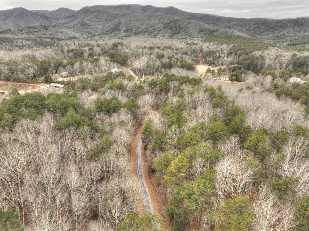 Turtletown, Polk County, TN Undeveloped Land for sale Property ID