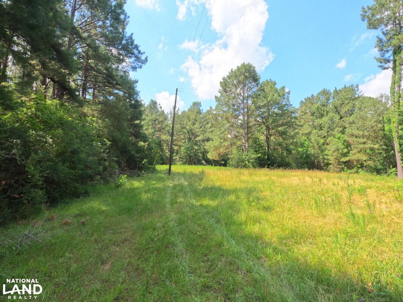 Clinton, East Feliciana Parish, LA Timberland Property, Hunting