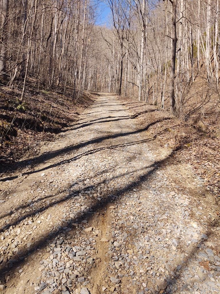 Bryson City, Swain County, NC Undeveloped Land for sale Property ID