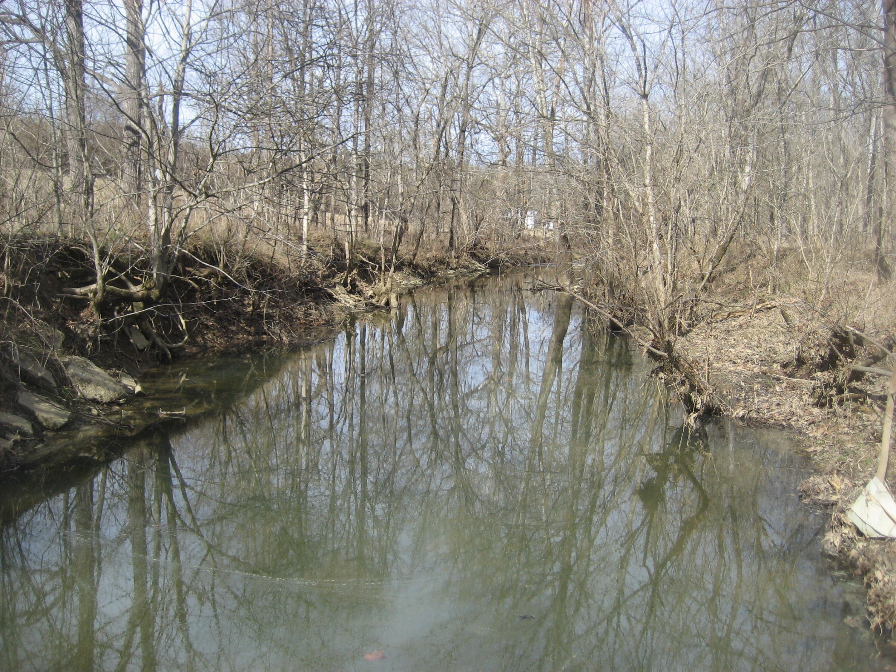 Lawrenceburg, Anderson County, KY Farms and Ranches for sale Property