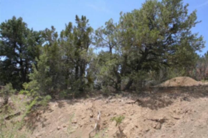 Tijeras, Bernalillo County, NM Undeveloped Land for sale Property ID