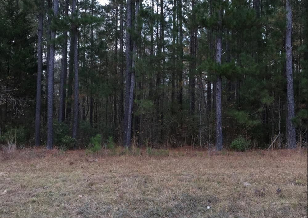 Dearing, McDuffie County, GA Undeveloped Land, Homesites for sale