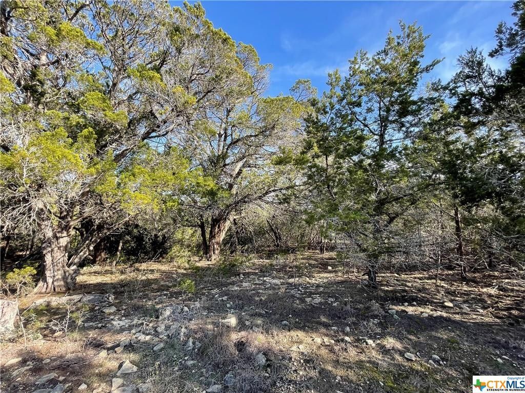 Spring Branch, Comal County, TX Undeveloped Land, Homesites for sale Property ID 418887690