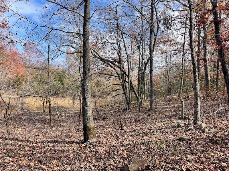 872 Karen Drive, LotWP002, Dennard, AR 72629 LandWatch