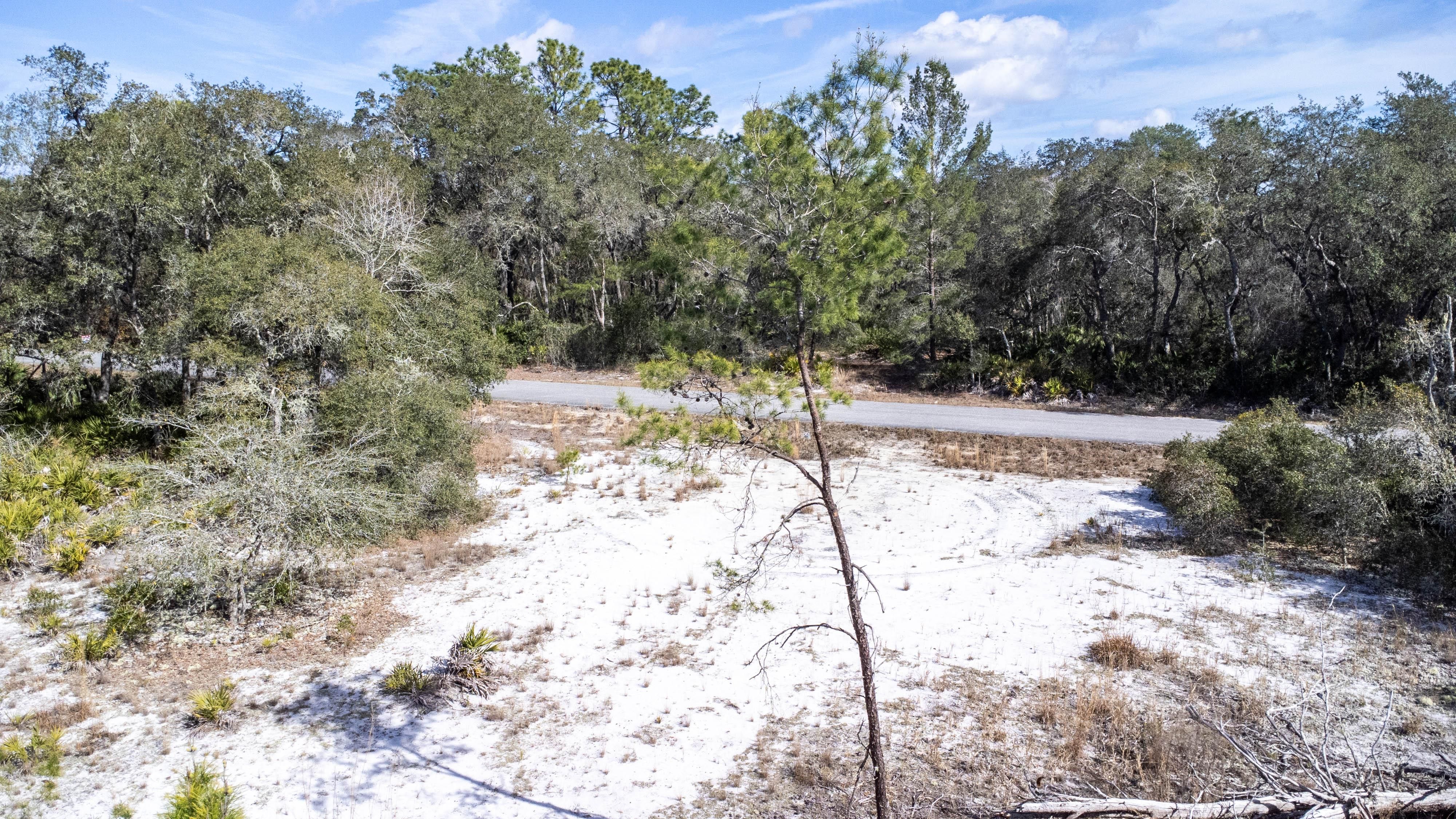 Ocklawaha, Marion County, FL Undeveloped Land, Homesites for sale