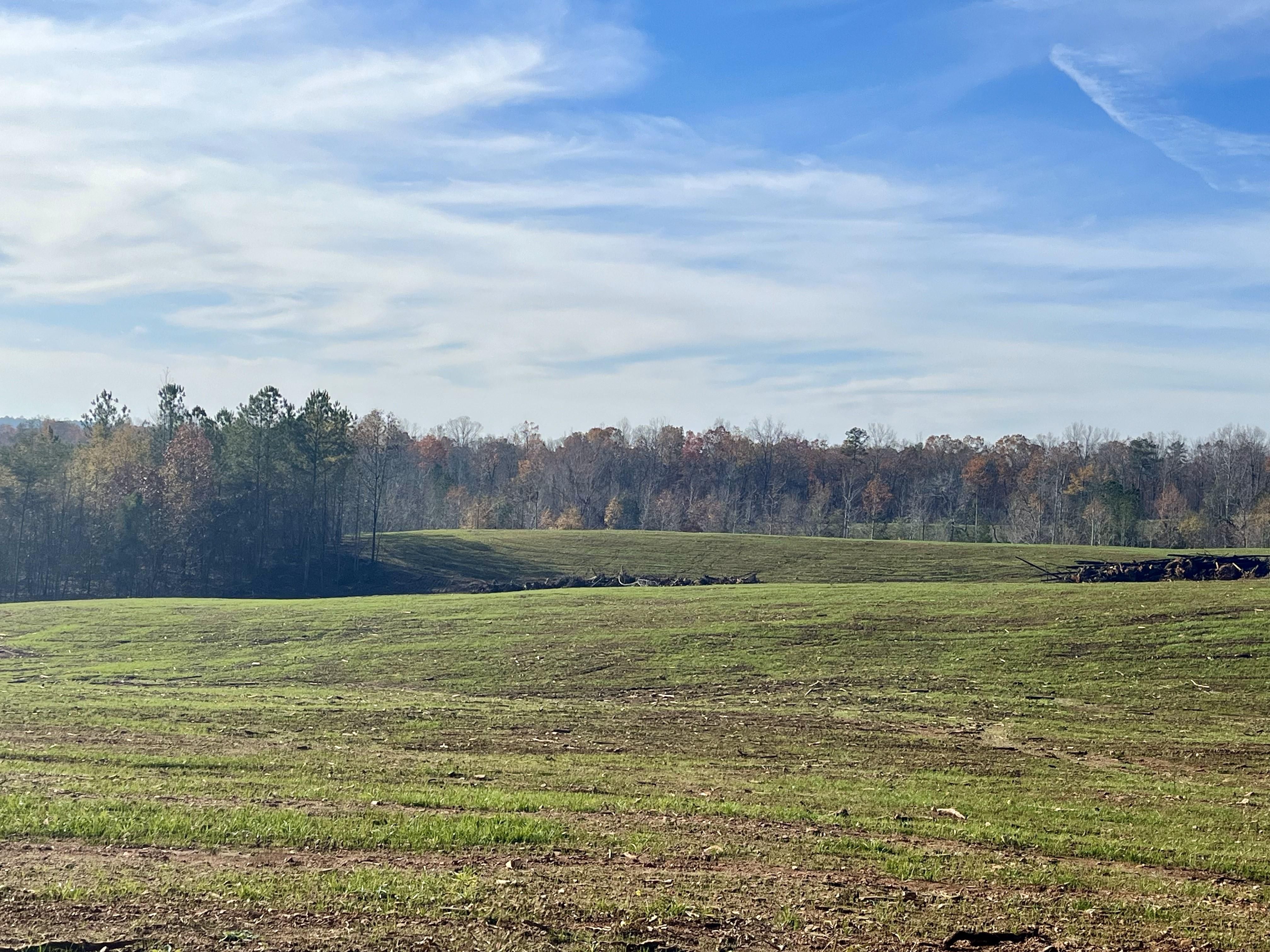 0 County Road 26, Roanoke, AL 36274 MLS 21371967 LandWatch