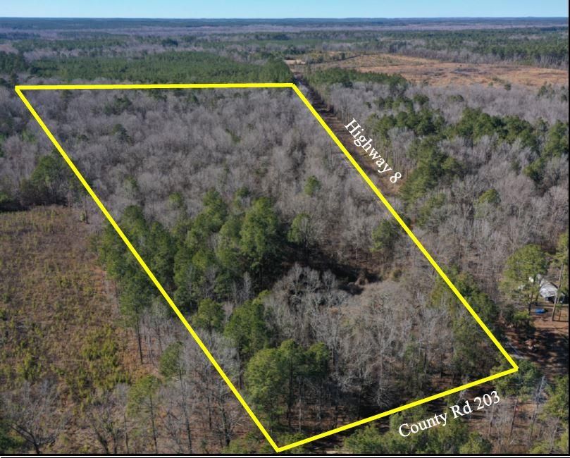Manning, Dallas County, AR Timberland Property, Undeveloped Land for
