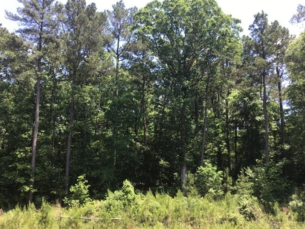 19.07 acres in Monticello, AR, 71655 LandWatch