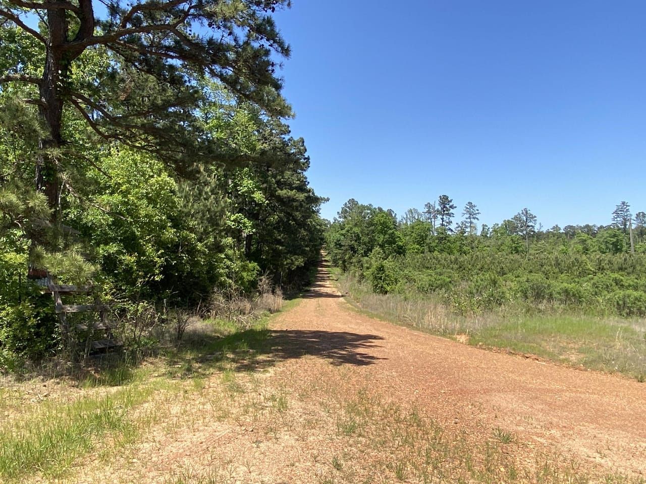 Hope, Hempstead County, AR Recreational Property, Timberland Property