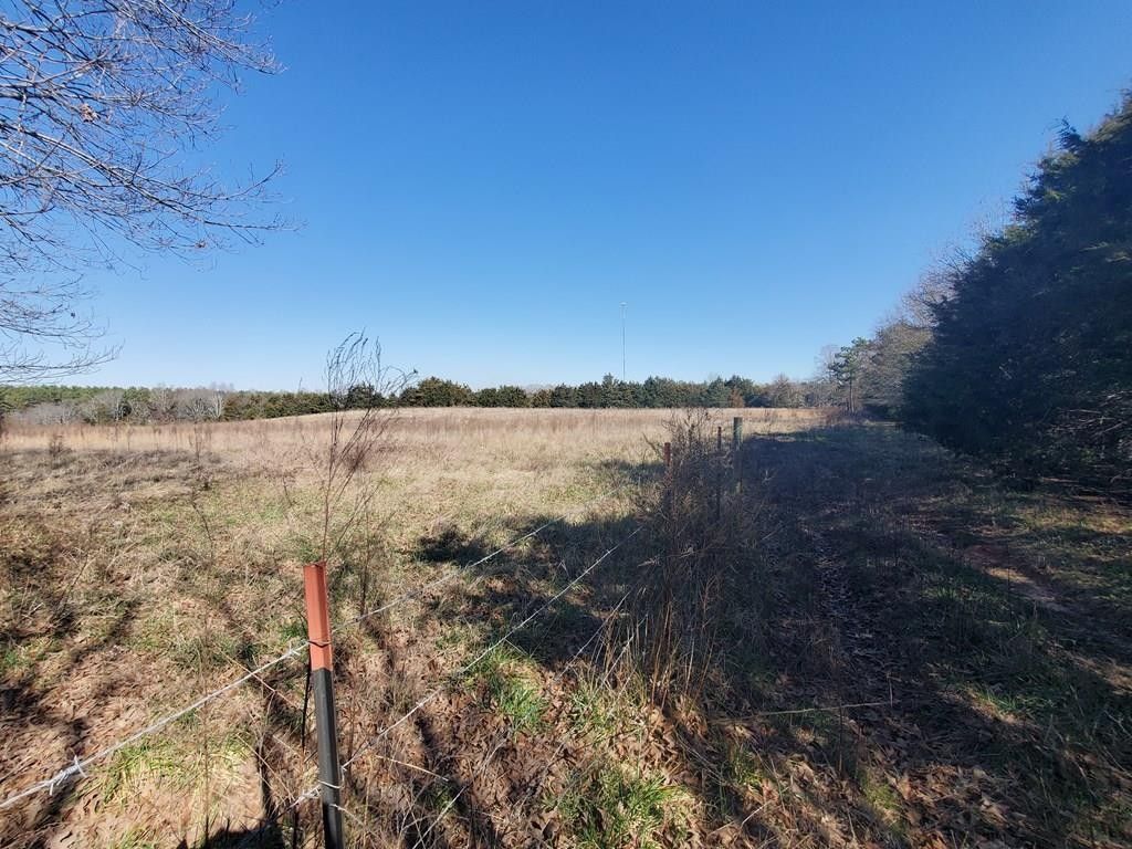 Abbeville, Abbeville County, SC Undeveloped Land for sale Property ID