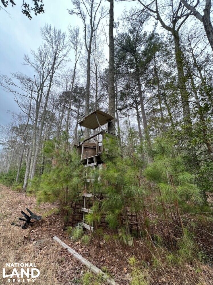 Onemo, Mathews County, VA Timberland Property, Undeveloped Land