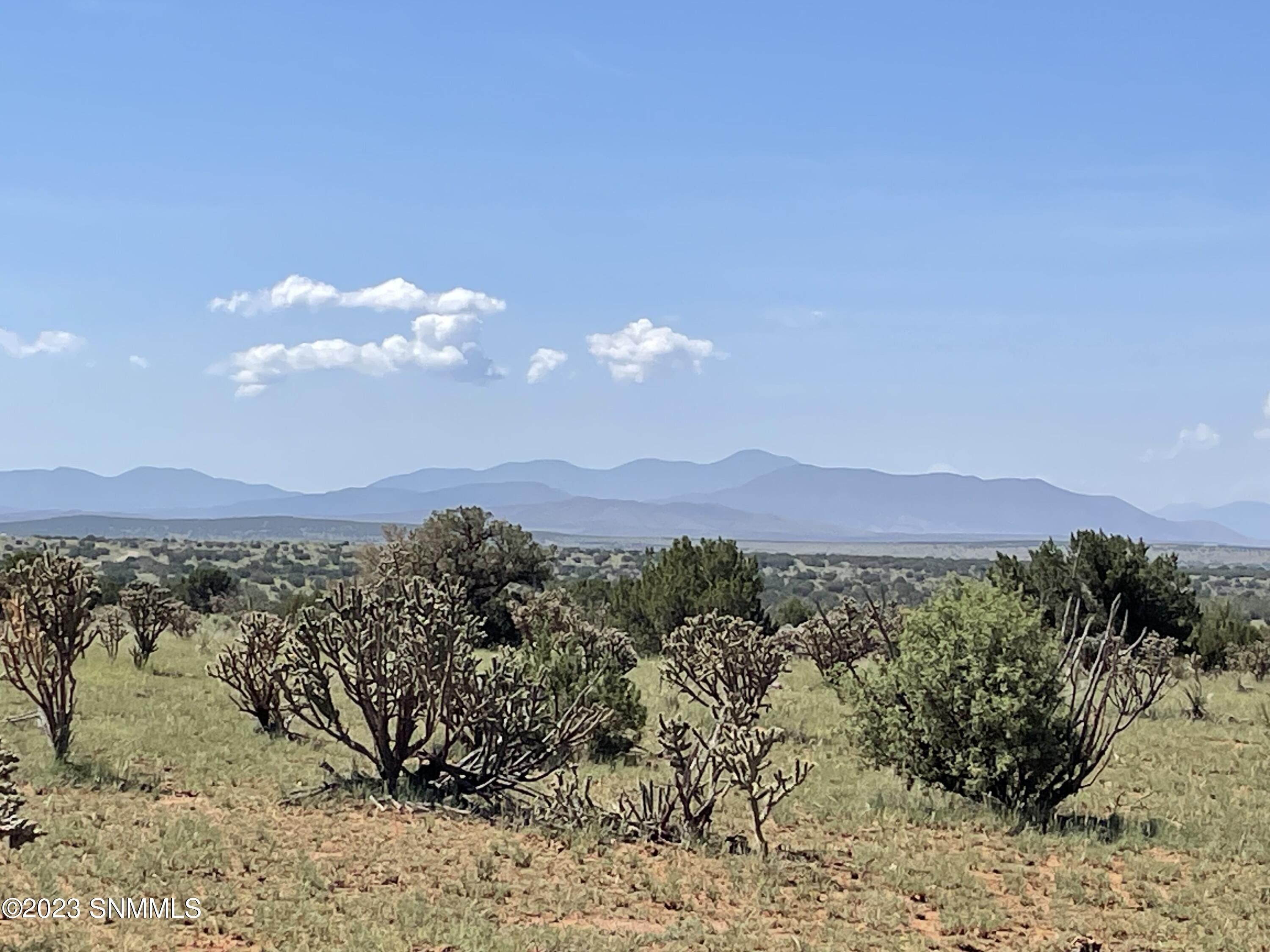 Carrizozo, Lincoln County, NM Undeveloped Land for sale Property ID