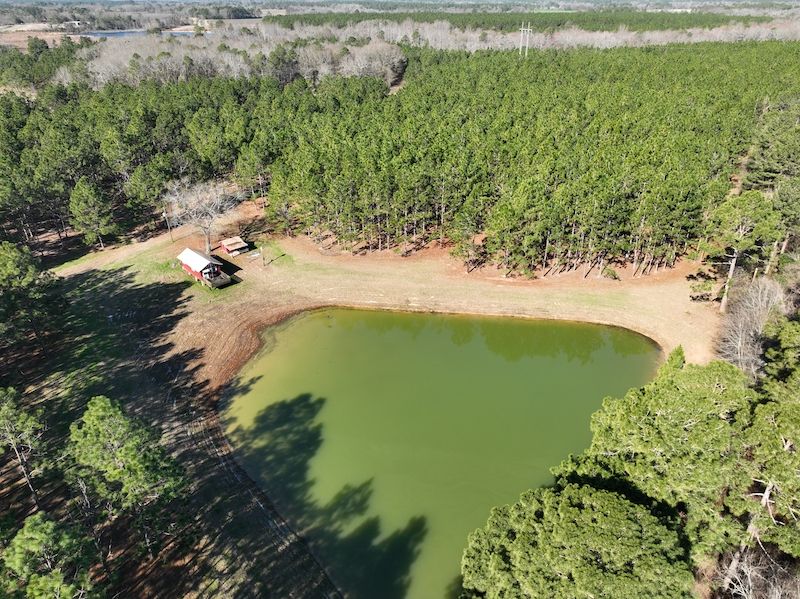 McBryant Road, LotWP001, Pitts, GA 31072 LandWatch