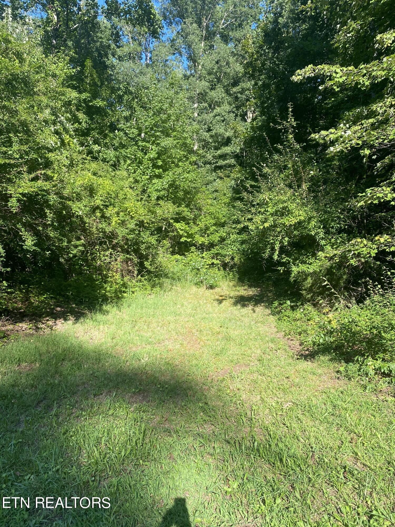 Knoxville, Knox County, TN Undeveloped Land for sale Property ID