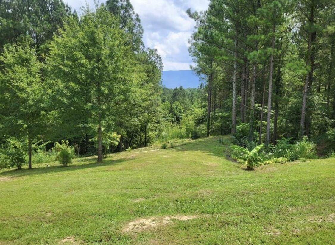 147 Hiwassee Trails Drive, Delano, TN 37325 MLS 20240566 LandWatch