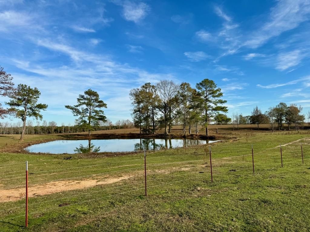39518 Minnie Fortenberry Road, Mount Hermon, LA 70450 MLS 4070753