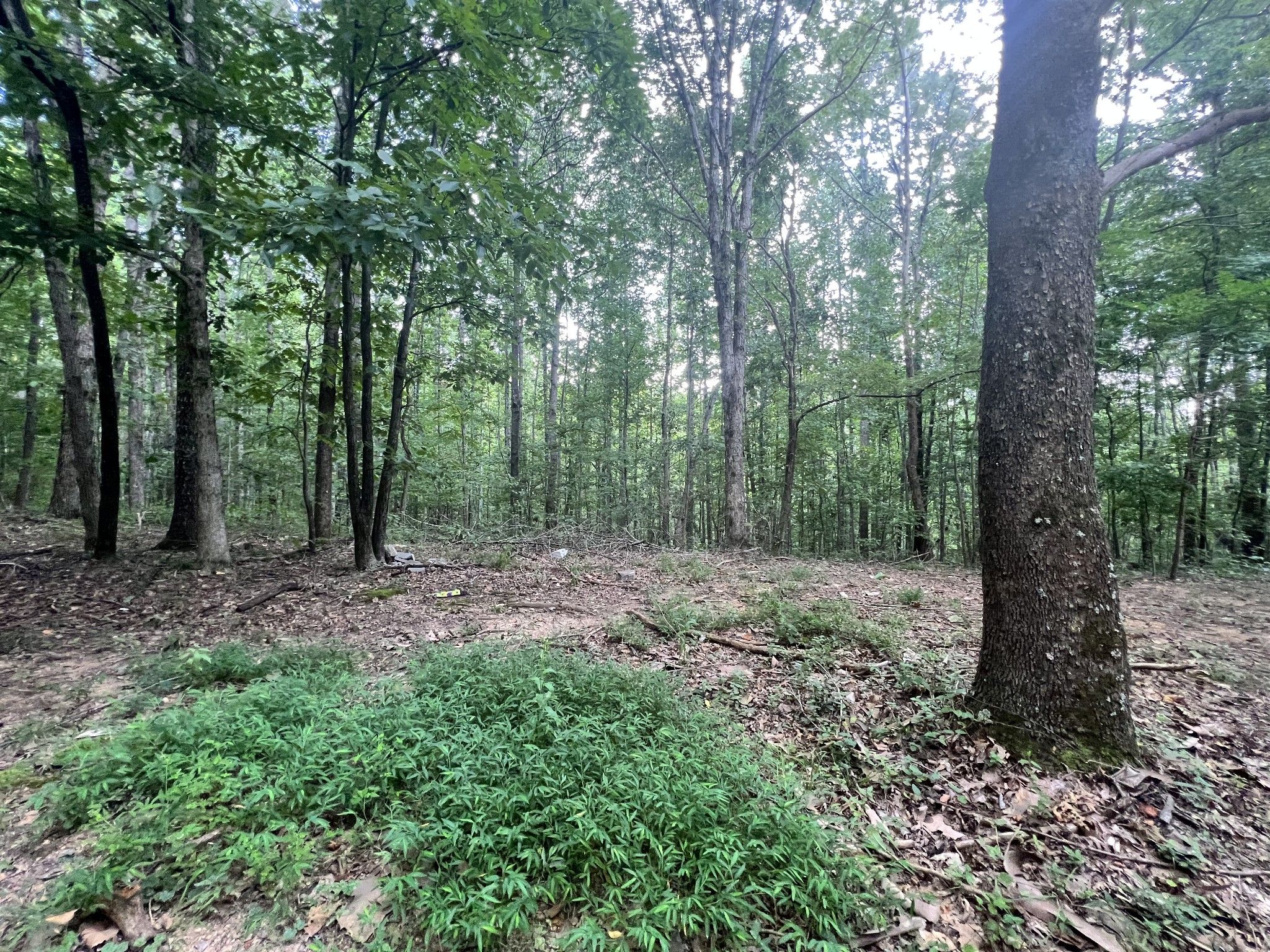 0 Little Marrowbone Rd, Ashland City, TN 37015 MLS 2583764 LandWatch