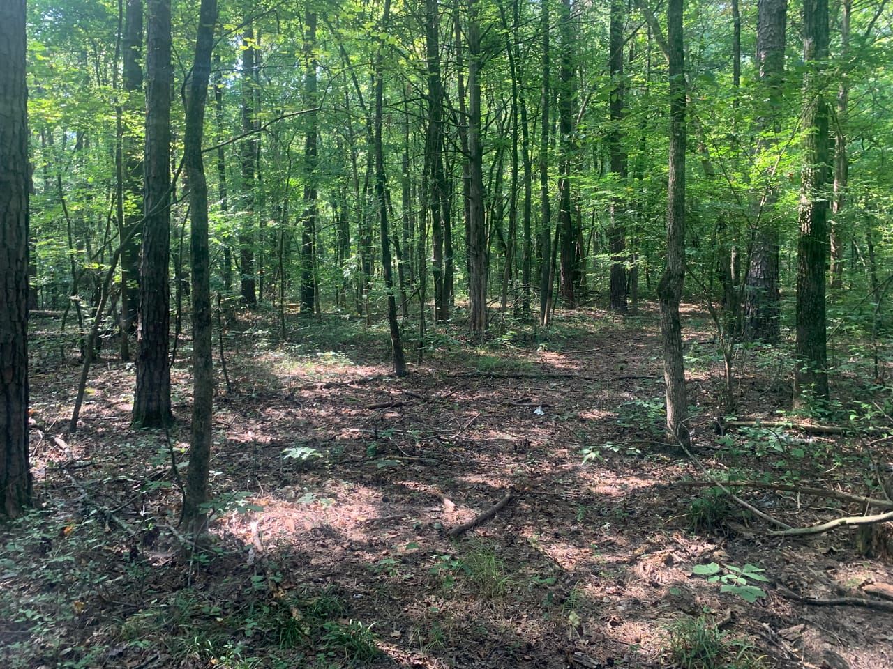 000 Price Ford Road, Pangburn, AR 72121 LandWatch