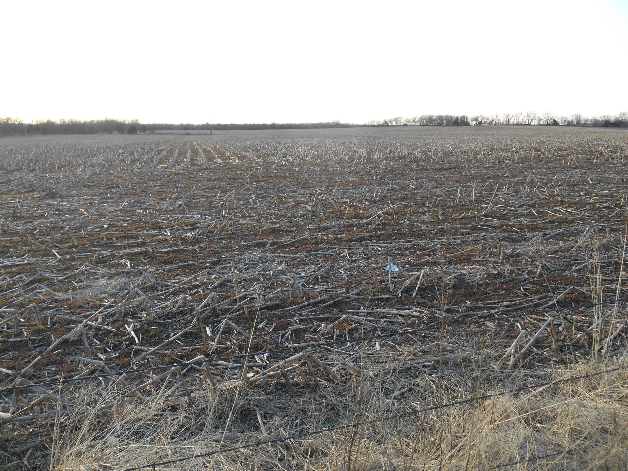 Verona, Lawrence County, MO Undeveloped Land for sale Property ID