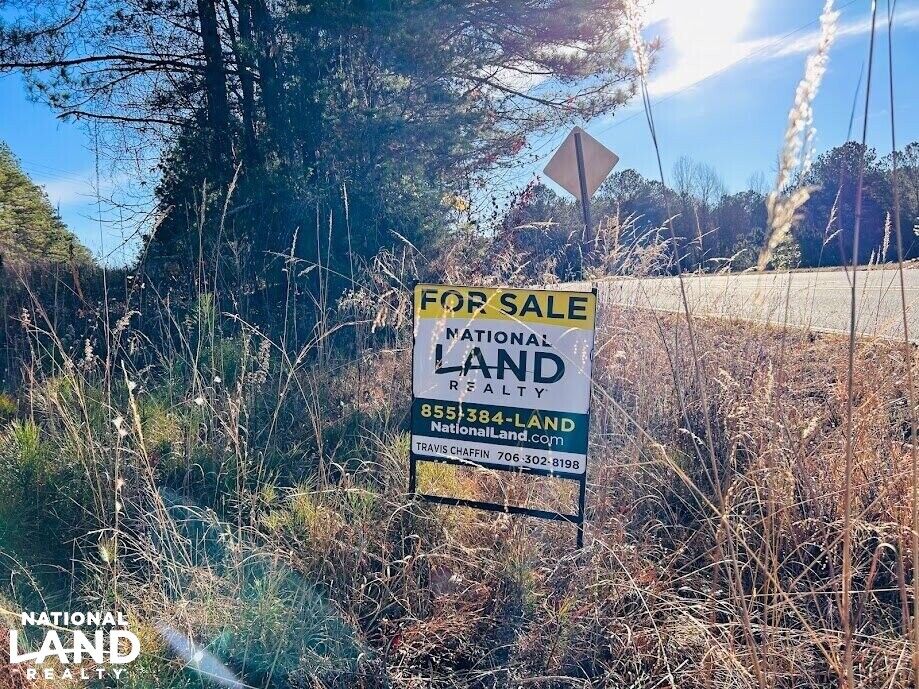 Muscadine, Cleburne County, AL Recreational Property, Timberland