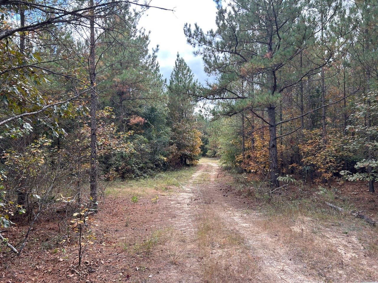 Toomsboro, Wilkinson County, GA Recreational Property, Timberland