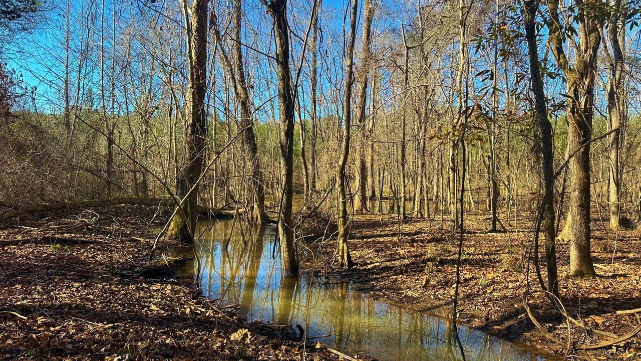 Dry Branch, Twiggs County, GA Recreational Property, Timberland