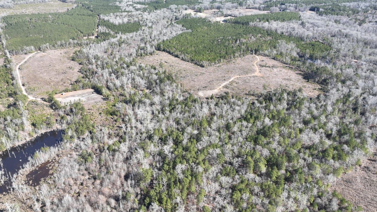 Saline, Bienville Parish, LA Recreational Property, Timberland Property