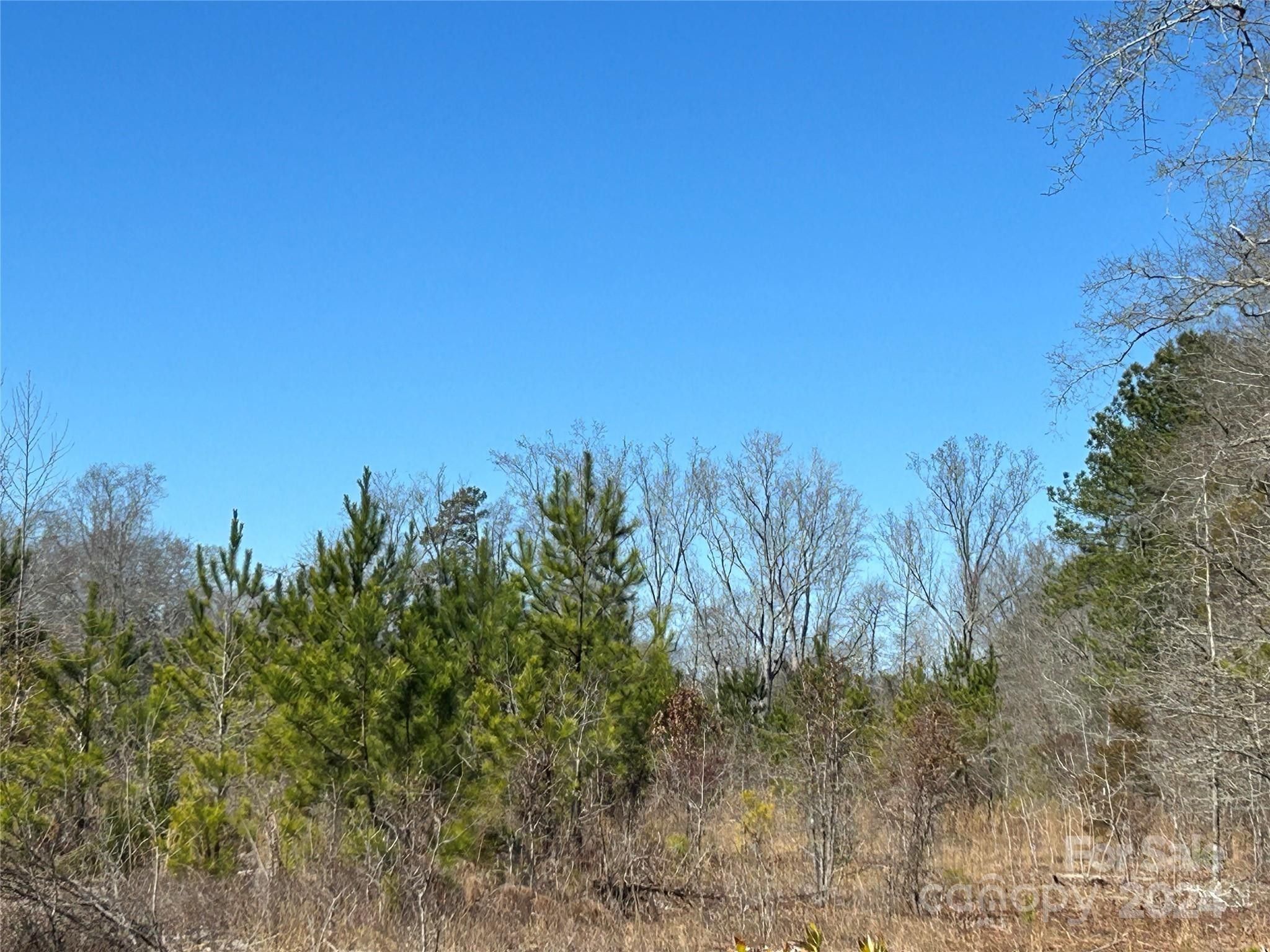 Kershaw, Kershaw County, SC Undeveloped Land for sale Property ID 418910330 LandWatch
