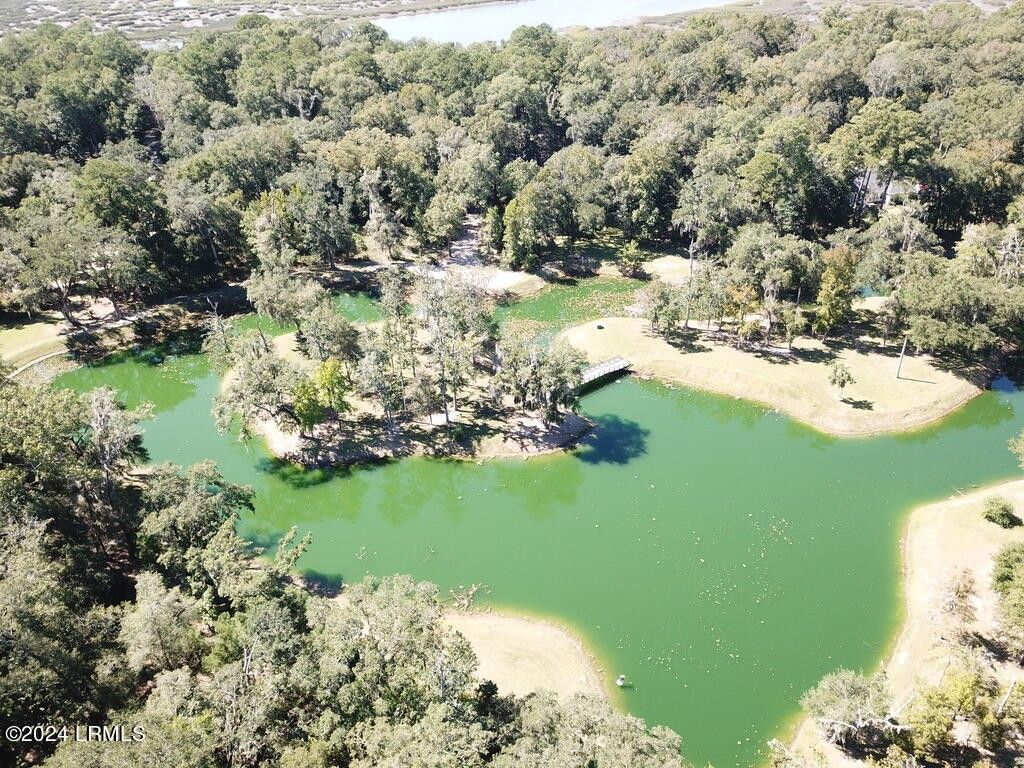 Seabrook, Beaufort County, SC Undeveloped Land, Lakefront Property