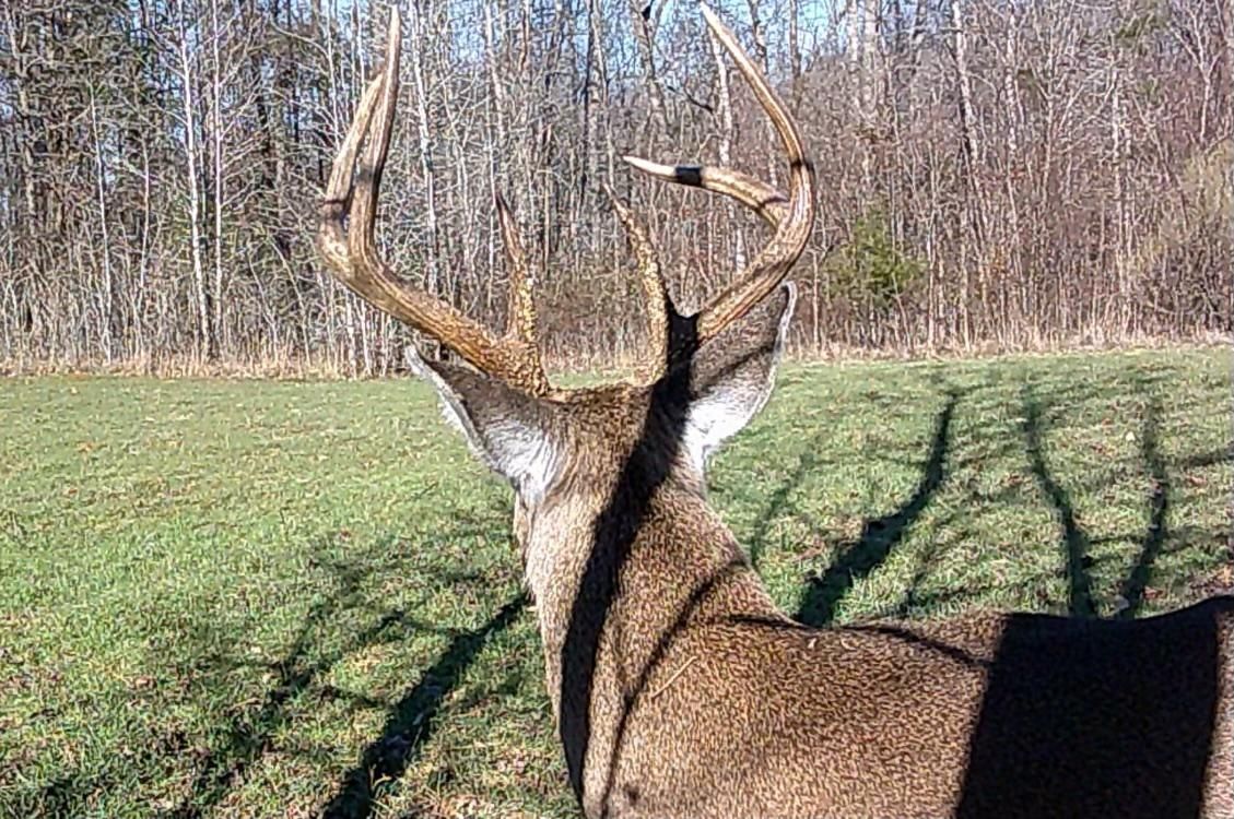 Olivehill, Hardin County, TN Farms and Ranches, Recreational Property