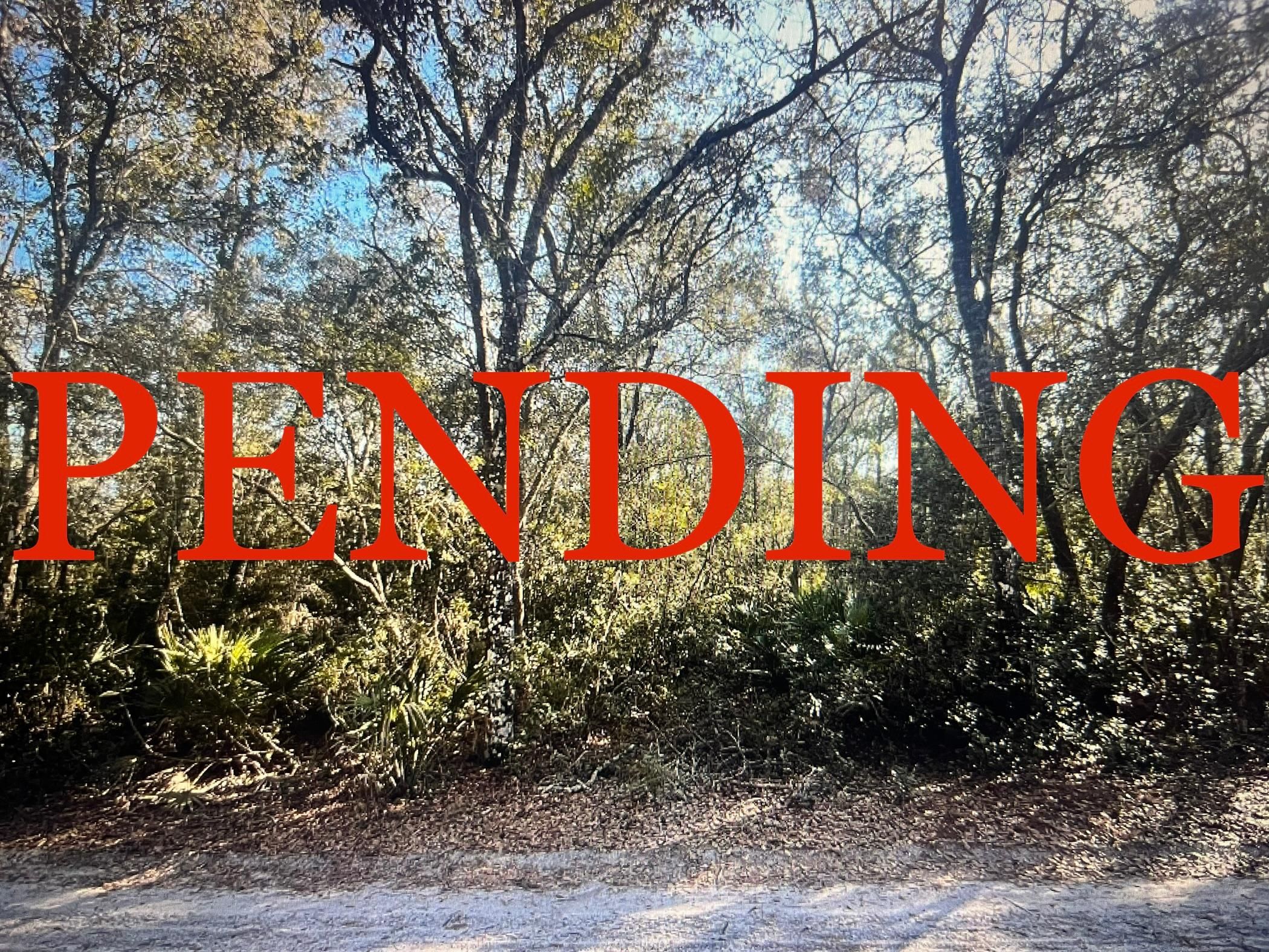 Hernando, Citrus County, FL Recreational Property, Undeveloped Land, Homesites for sale Property