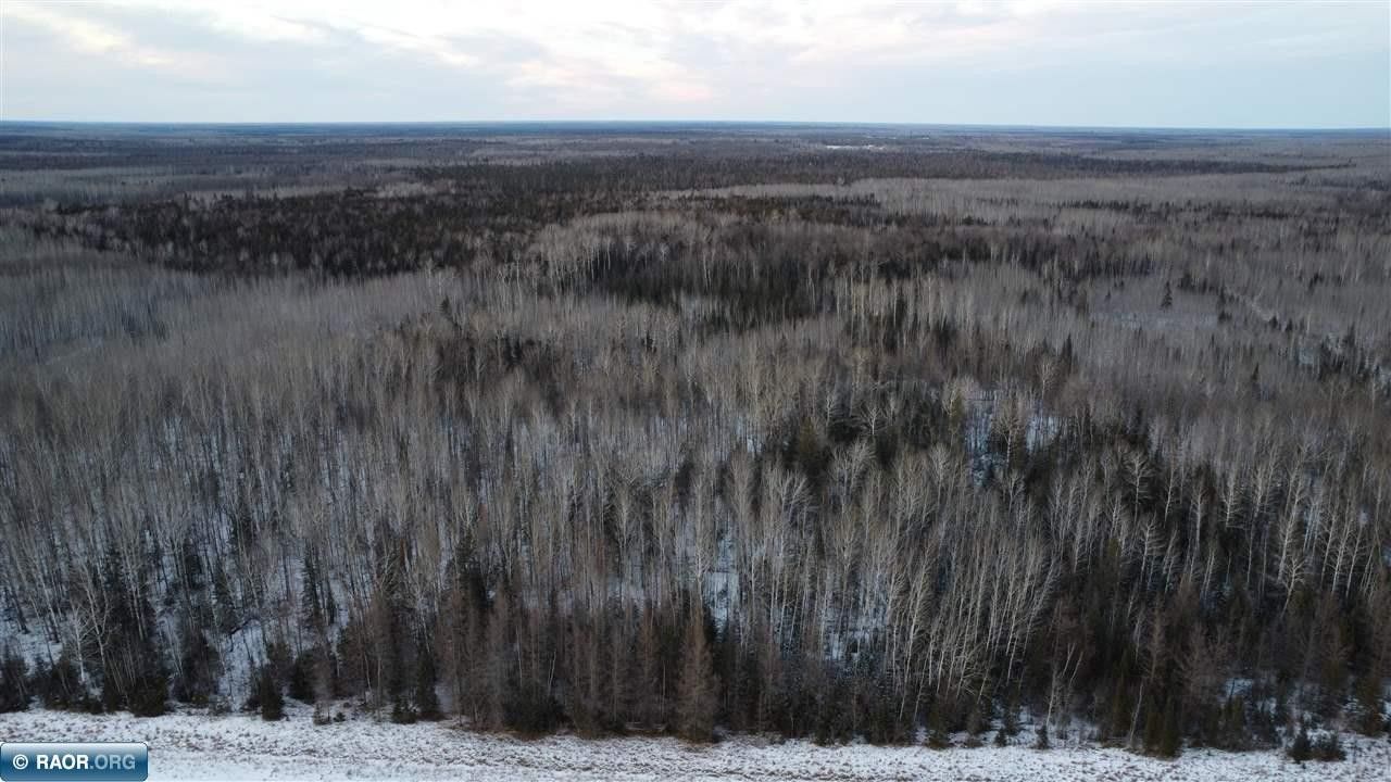 Littlefork, Koochiching County, MN Undeveloped Land for sale Property