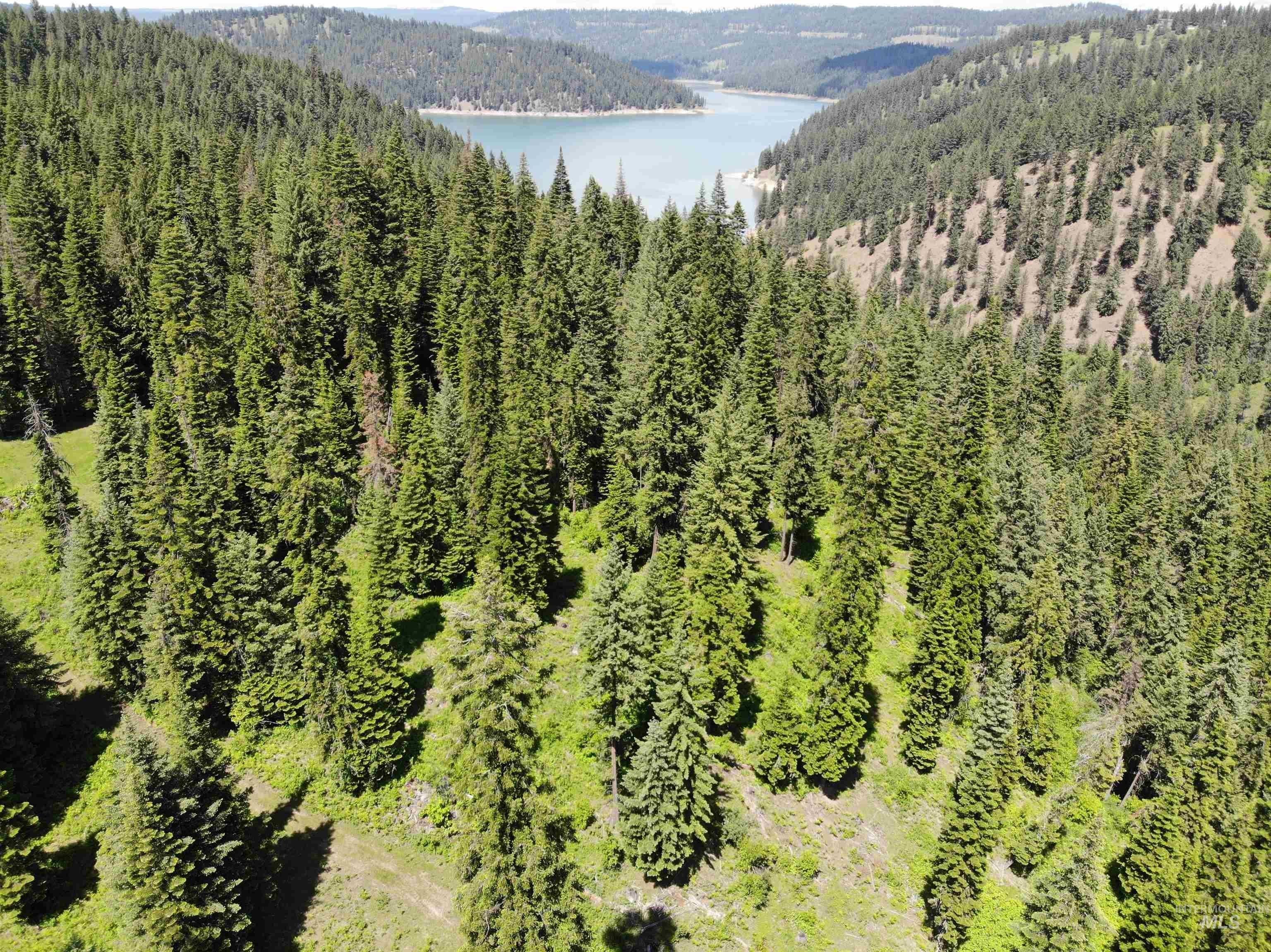Orofino, Clearwater County, ID Undeveloped Land for sale Property ID