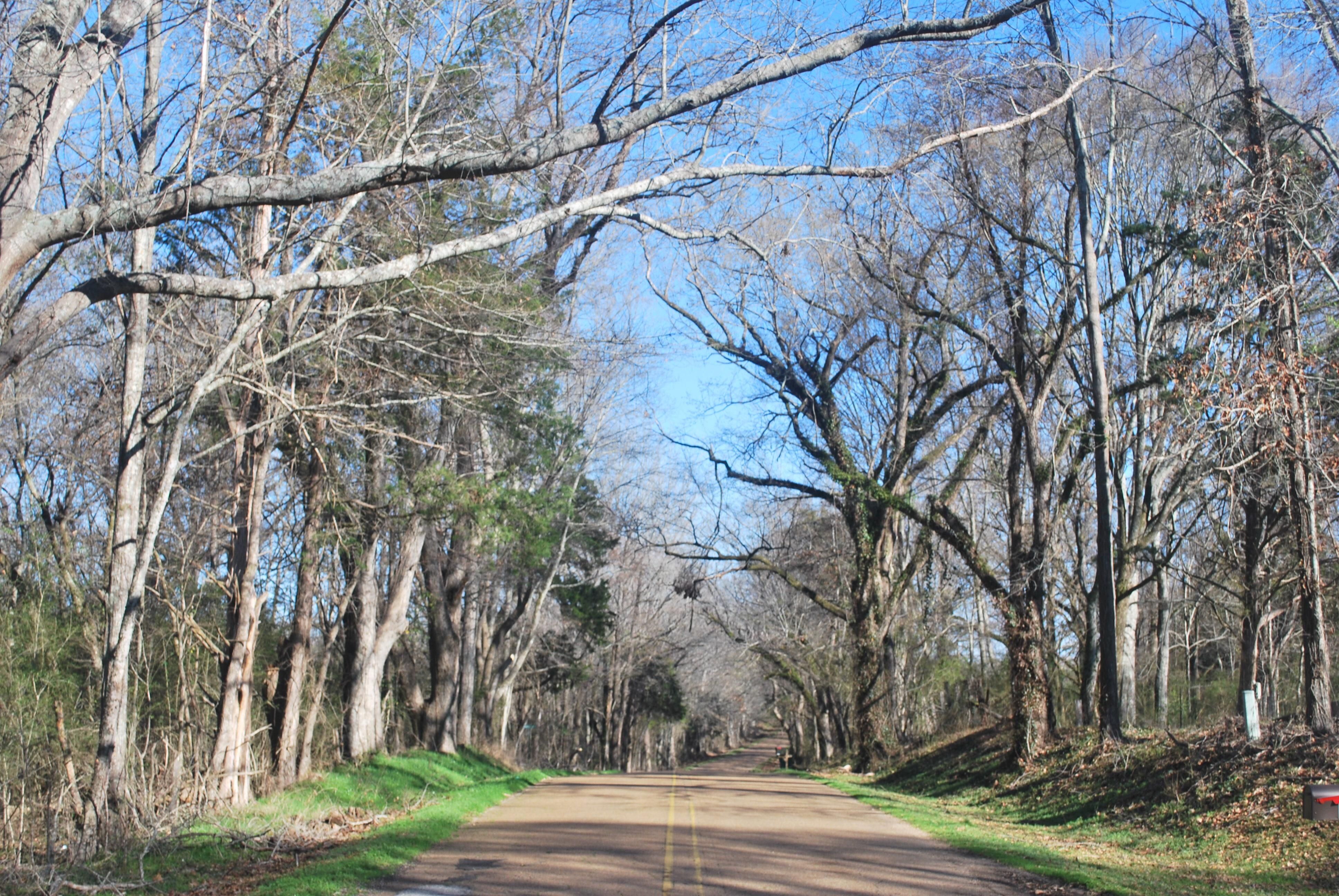 Raymond, Hinds County, MS Farms and Ranches, Recreational Property