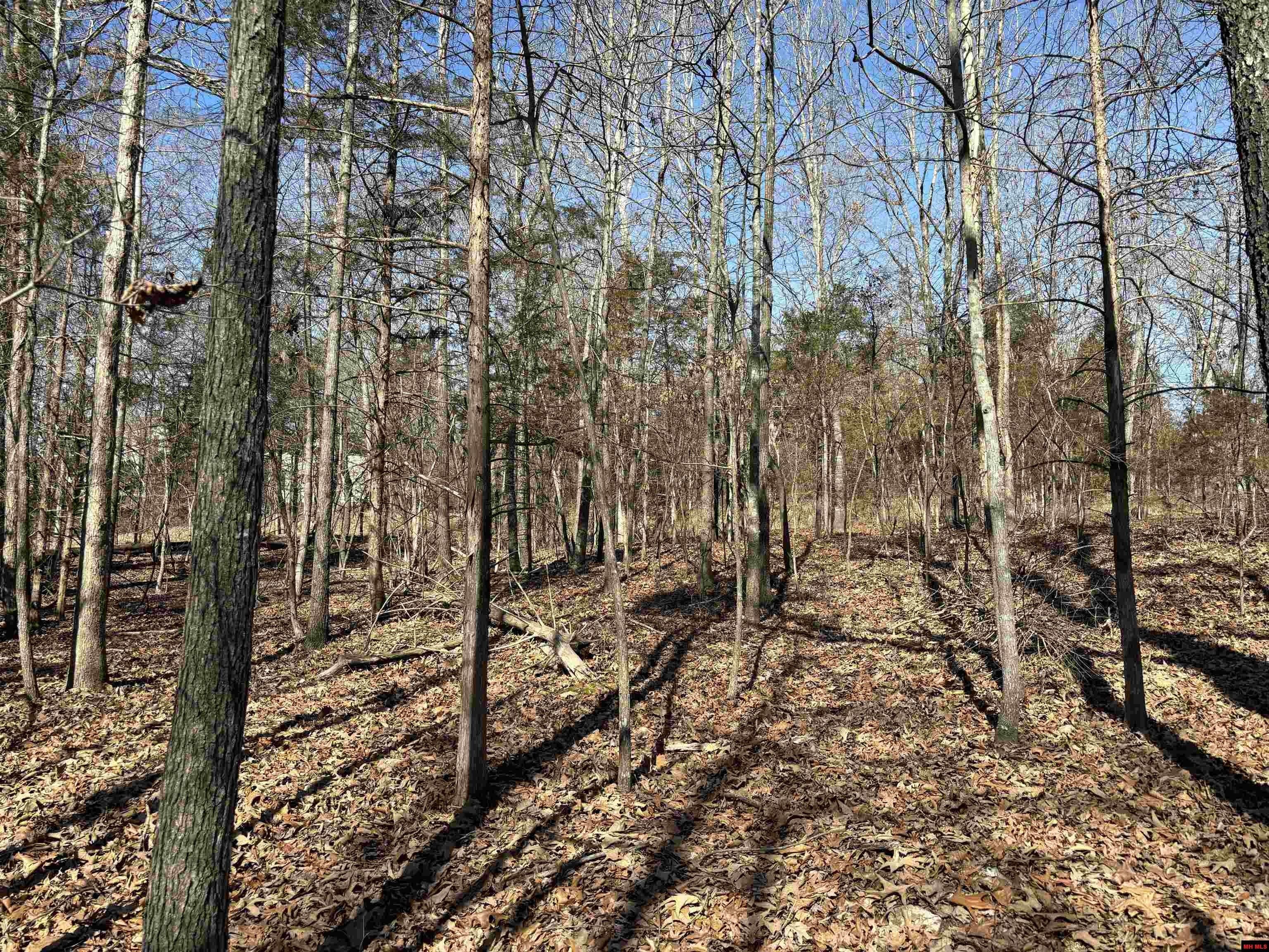Bull Shoals, Marion County, AR Undeveloped Land, Homesites for sale Property ID 418923596