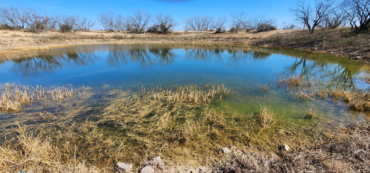 Paint Rock, Concho County, TX Recreational Property, Undeveloped Land
