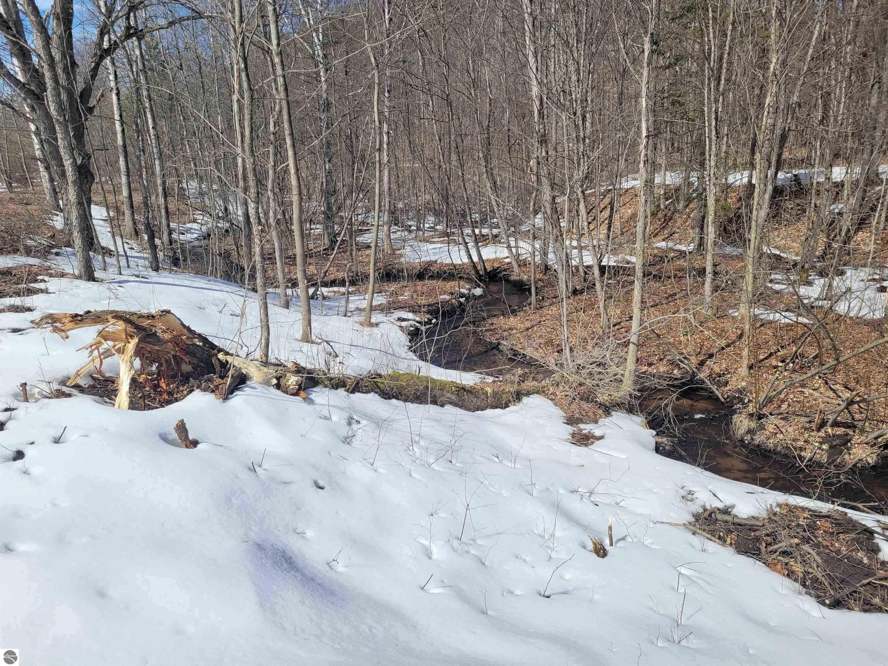 Kalkaska, Kalkaska County, MI Undeveloped Land, Lakefront Property, Waterfront Property