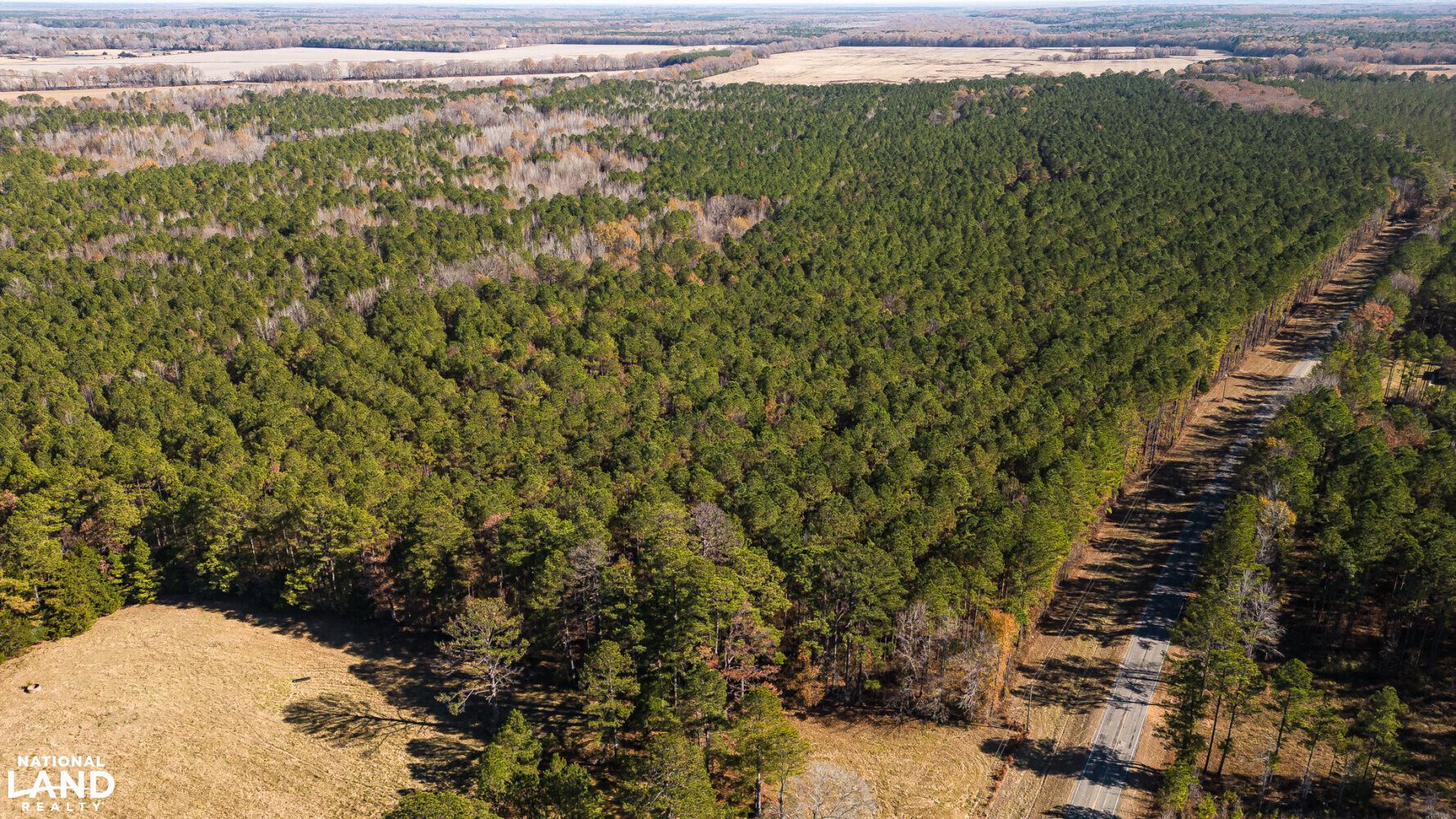 Pheba, Oktibbeha County, MS Timberland Property, Undeveloped Land