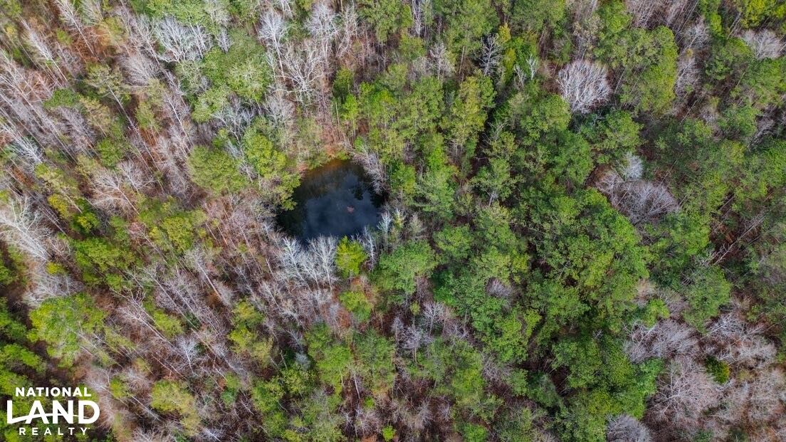 Midway, Barbour County, AL Recreational Property, Hunting Property for