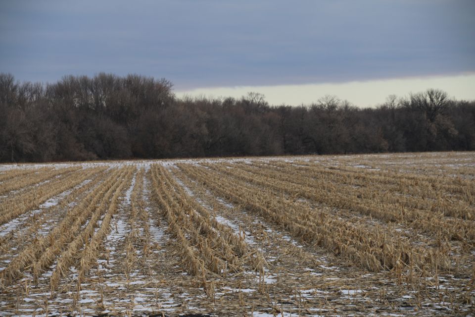 Manvel, Grand Forks County, ND Farms and Ranches for auction Property