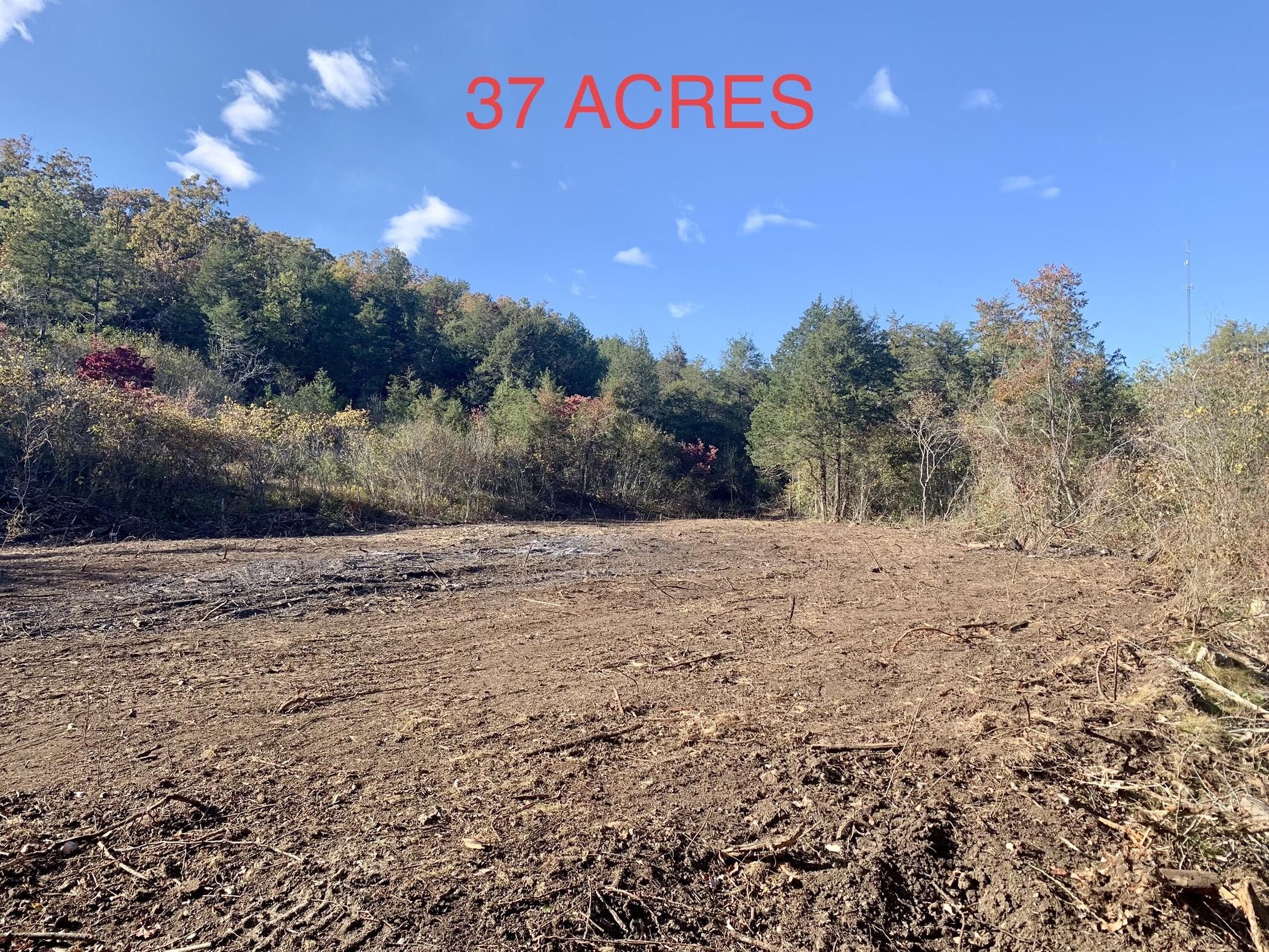 Isabella, Ozark County, MO Undeveloped Land for sale Property ID