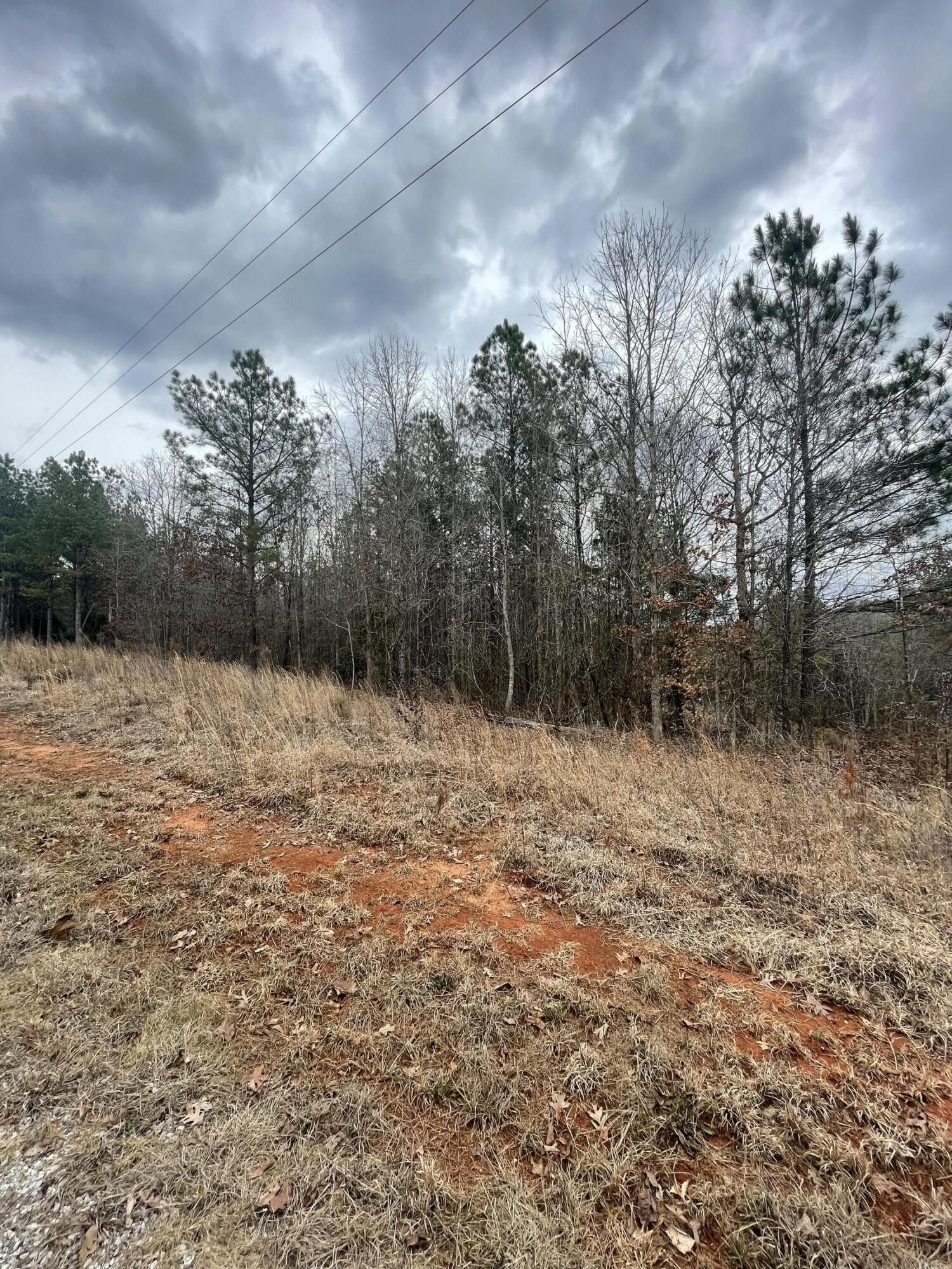 Tiplersville, Tippah County, MS Homesites for sale Property ID