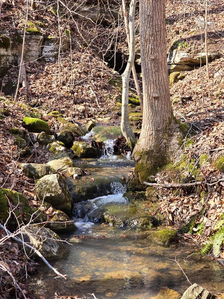 Livingston, Overton County, TN Undeveloped Land for sale Property ID