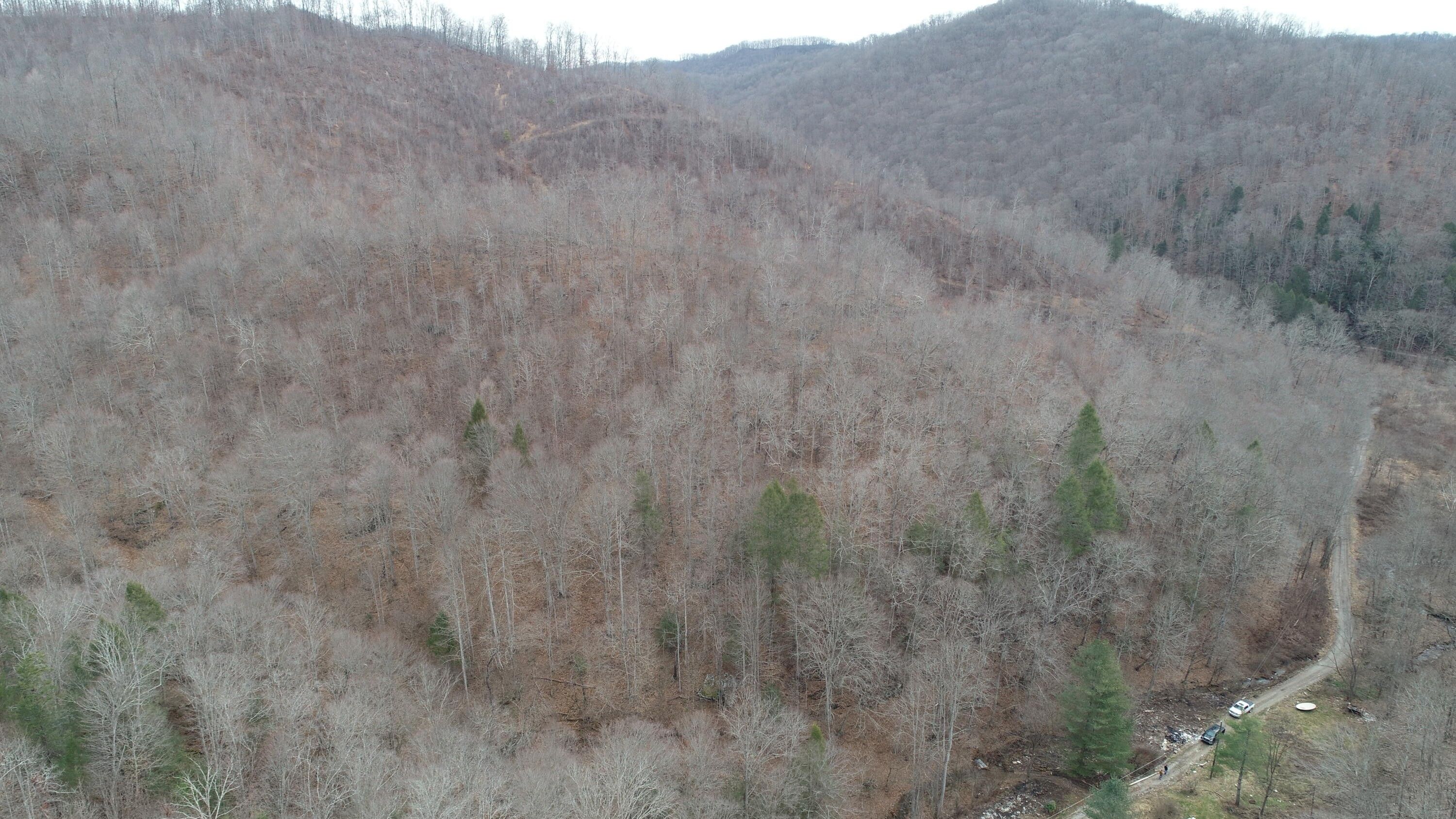 Flat Lick, Knox County, KY Farms and Ranches for sale Property ID