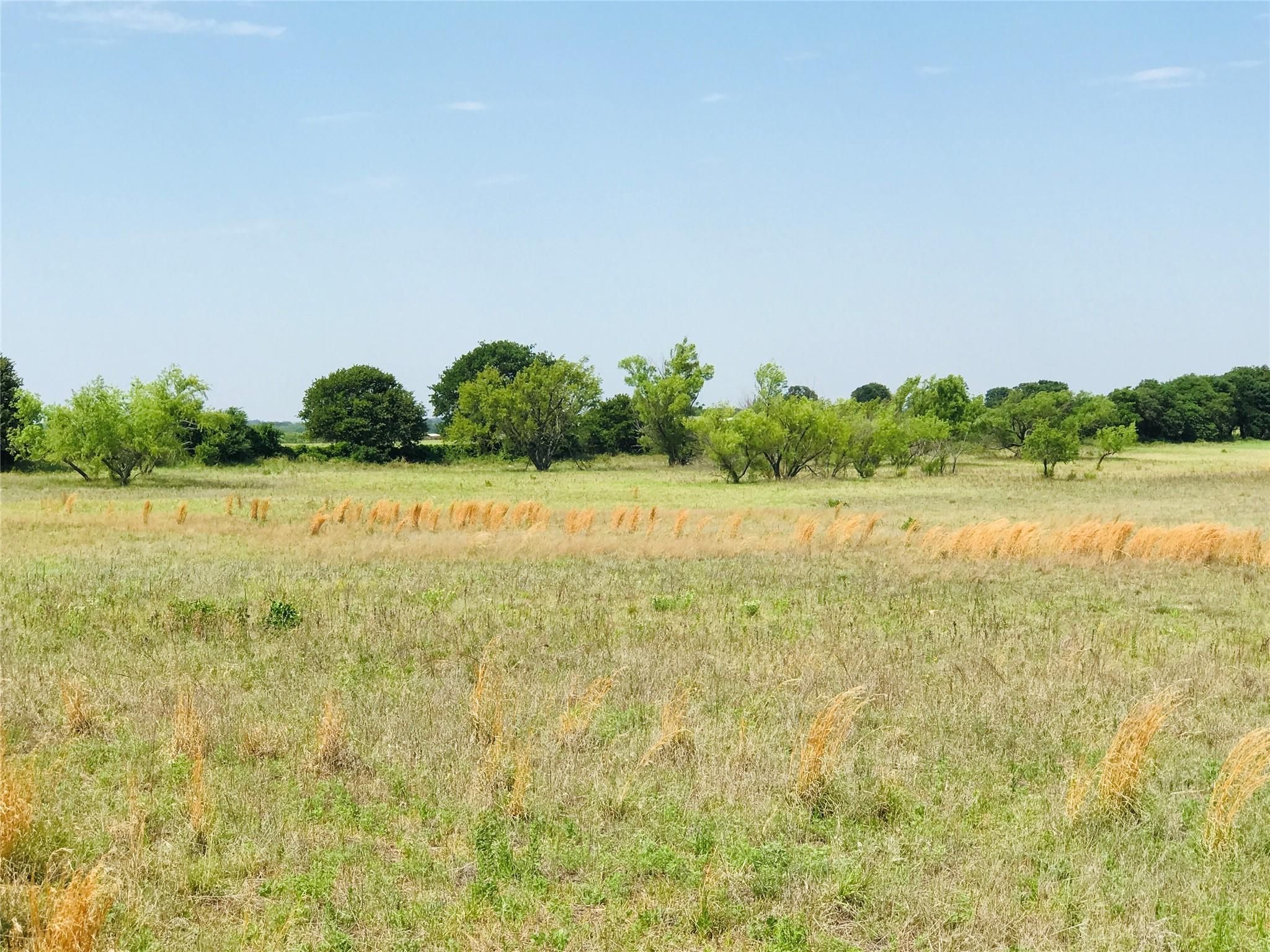 Rising Star, Eastland County, TX Farms and Ranches, Hunting Property