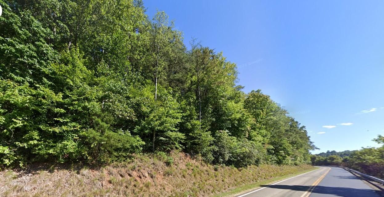 Fieldale, Henry County, VA Timberland Property, Undeveloped Land for