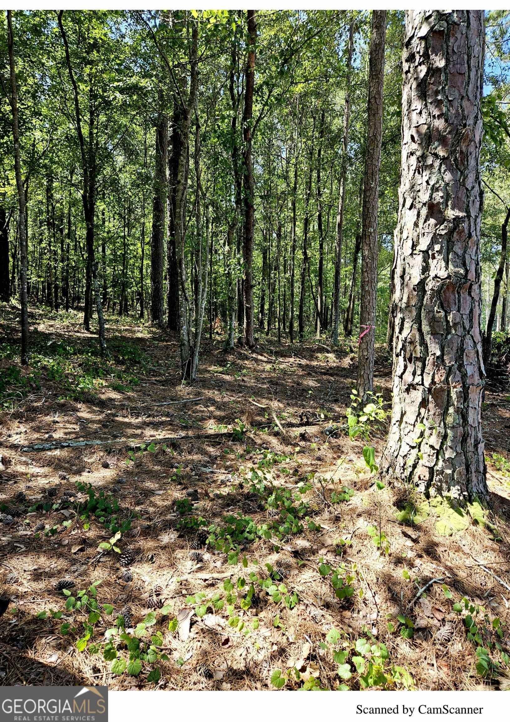 Auburn, Barrow County, GA Undeveloped Land, Homesites for sale Property