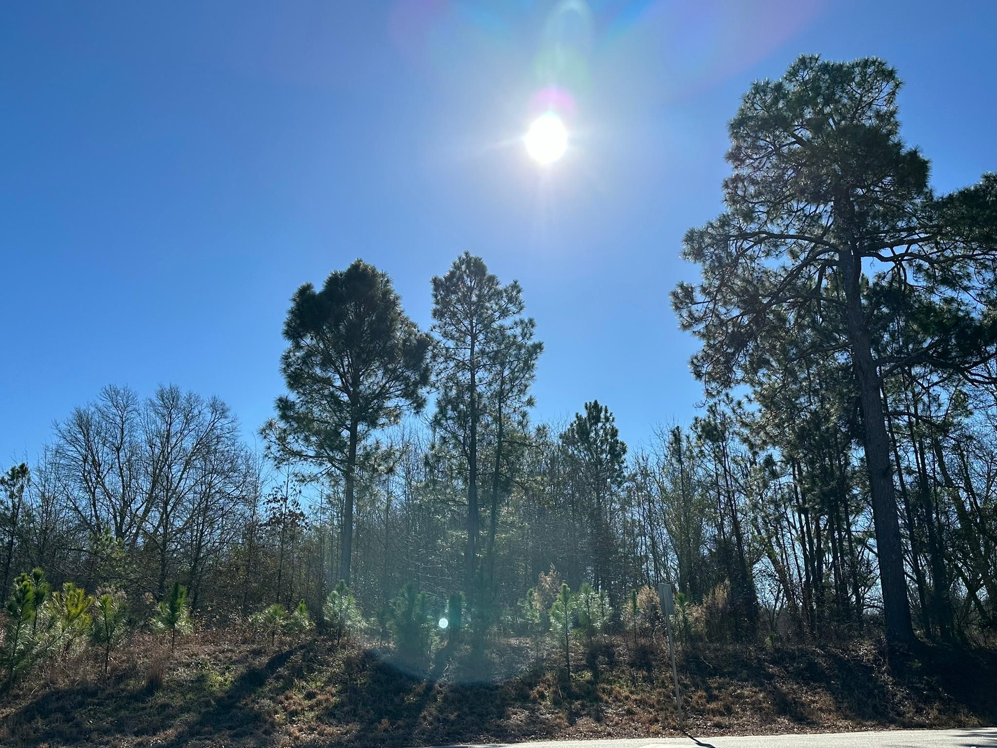 Blythe, Richmond County, GA Undeveloped Land, Commercial Property for