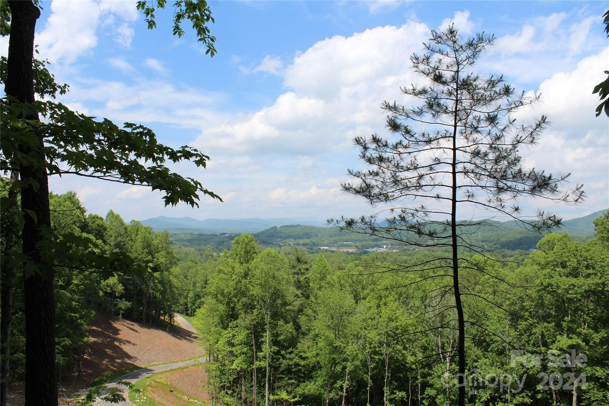 Hendersonville, Henderson County, NC Undeveloped Land, Homesites for