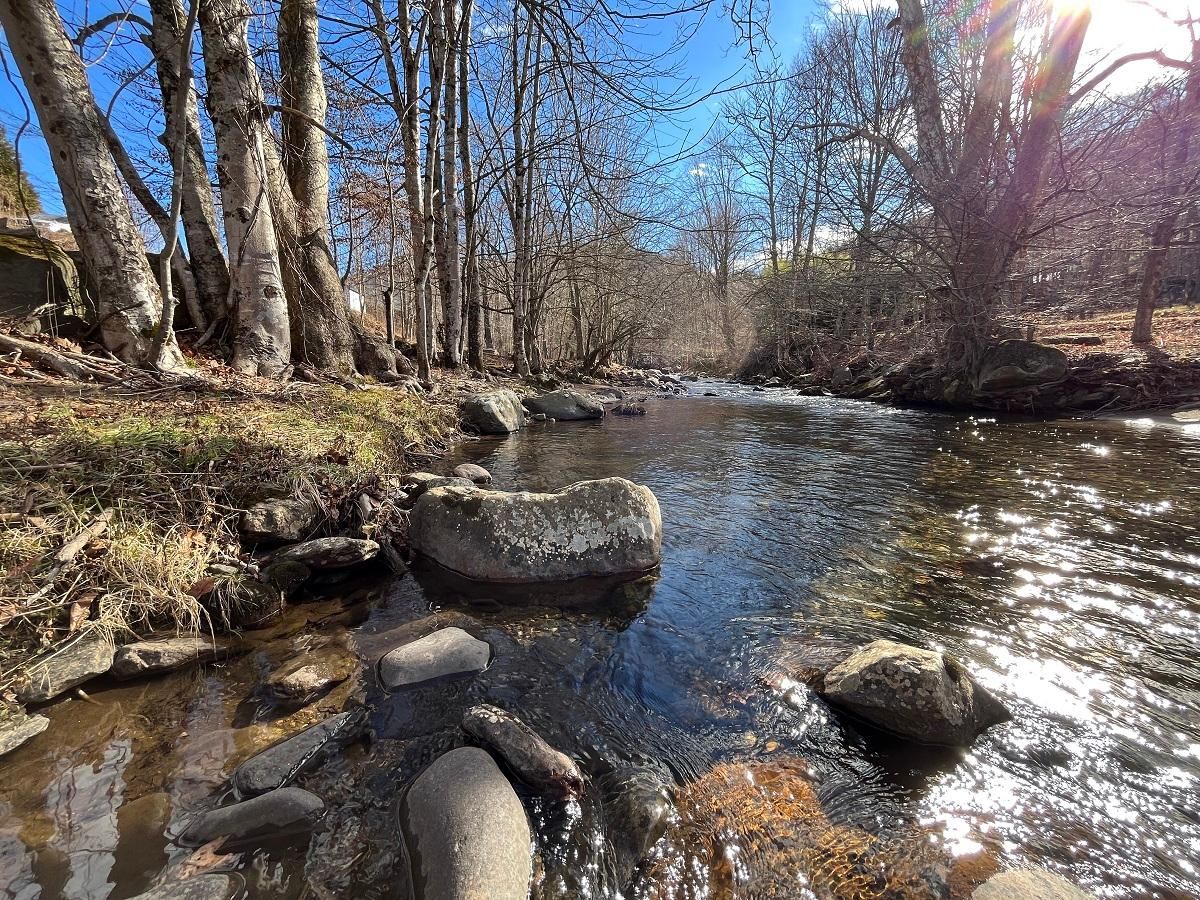 Bakersville, Mitchell County, NC Undeveloped Land, Riverfront Property